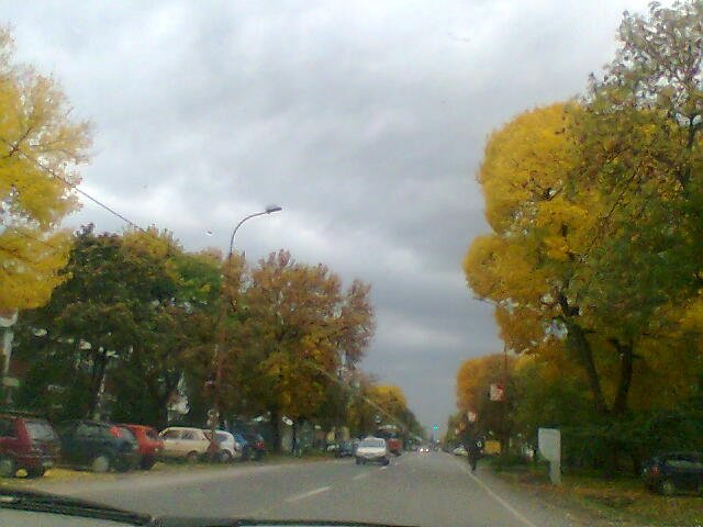 Sunny road.jpg, 46 KB